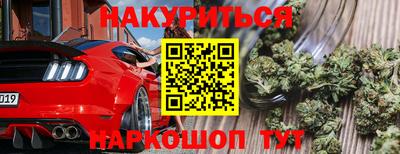 спиды Донской
