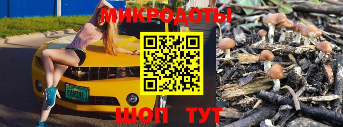 Галлюциногенные грибы Psilocybe  Вход с VPN  Нефтекамск  Псилоцибиновые грибы MAGIC MUSHROOMS 
