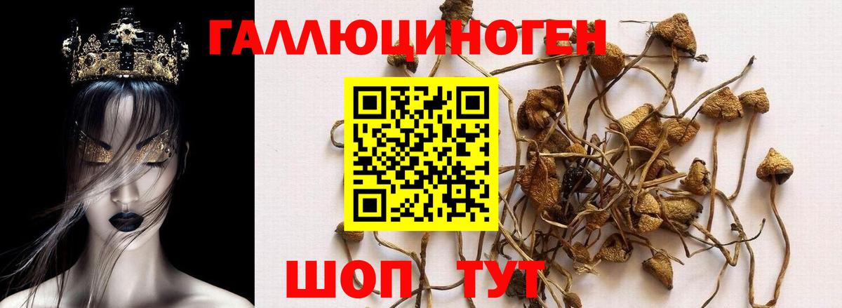 КОКАИН  Вход с VPN  Нефтекамск  MDMA  НБОМе  Марихуана  Меф МЯУ МЯУ кристаллы 